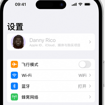 金湖appleID维修服务iPhone设置中Apple ID显示为灰色无法使用 