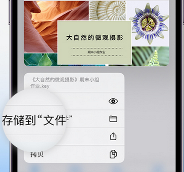 金湖apple维修中心分享iPhone文件应用中存储和找到下载文件