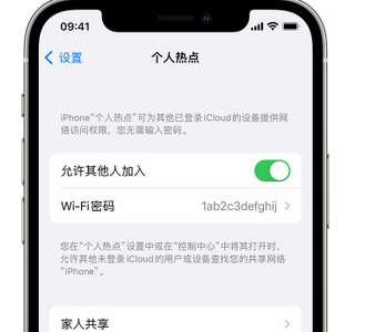 金湖apple服务站点分享iPhone上个人热点丢失了怎么办 