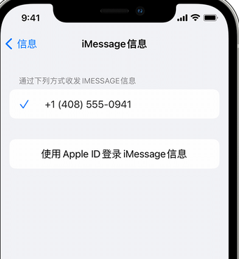 金湖apple维修iPhone上无法正常发送iMessage信息 