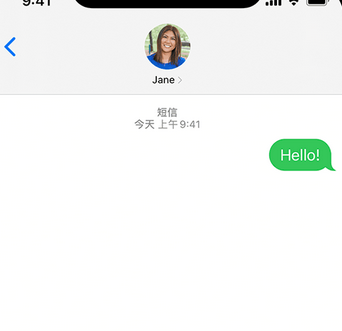 金湖apple维修iPhone上无法正常发送iMessage信息