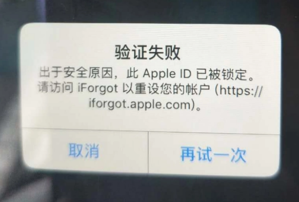 金湖iPhone维修分享iPhone上正常登录或使用AppleID怎么办 