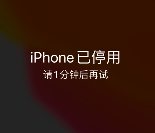 金湖苹果手机维修分享:iPhone 显示“不可用”或“已停用”怎么办？还能保留数据吗？ 