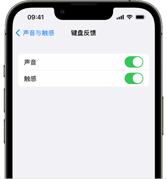 金湖苹果14维修店分享如何在 iPhone 14 机型中使用触感键盘 