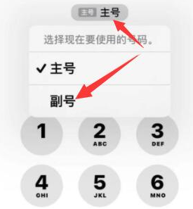 金湖苹果14维修店分享iPhone 14 Pro Max使用副卡打电话的方法 