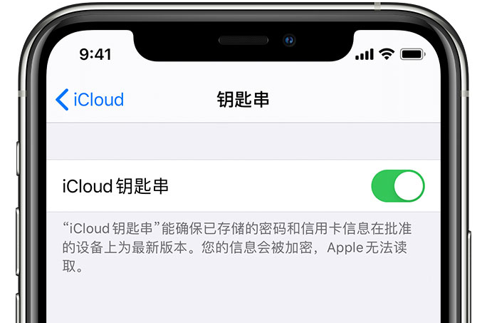 金湖苹果手机维修分享在 iPhone 上开启 iCloud 钥匙串之后会储存哪些信息 