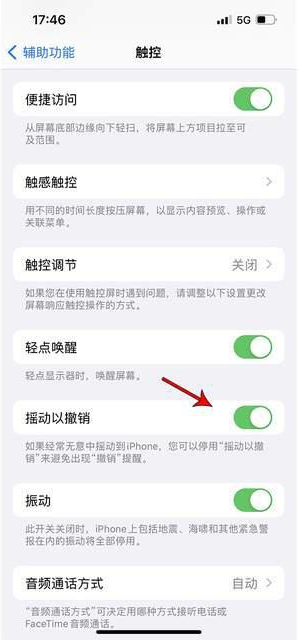 金湖苹果手机维修分享iPhone手机如何设置摇一摇删除文字 